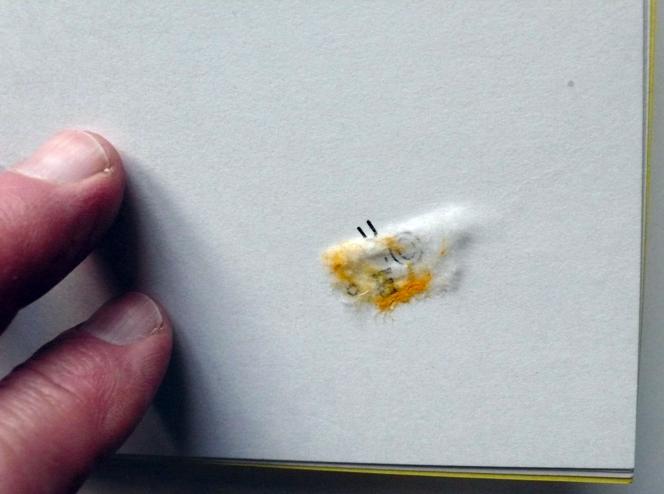 M 1982 00 00 vargas 005