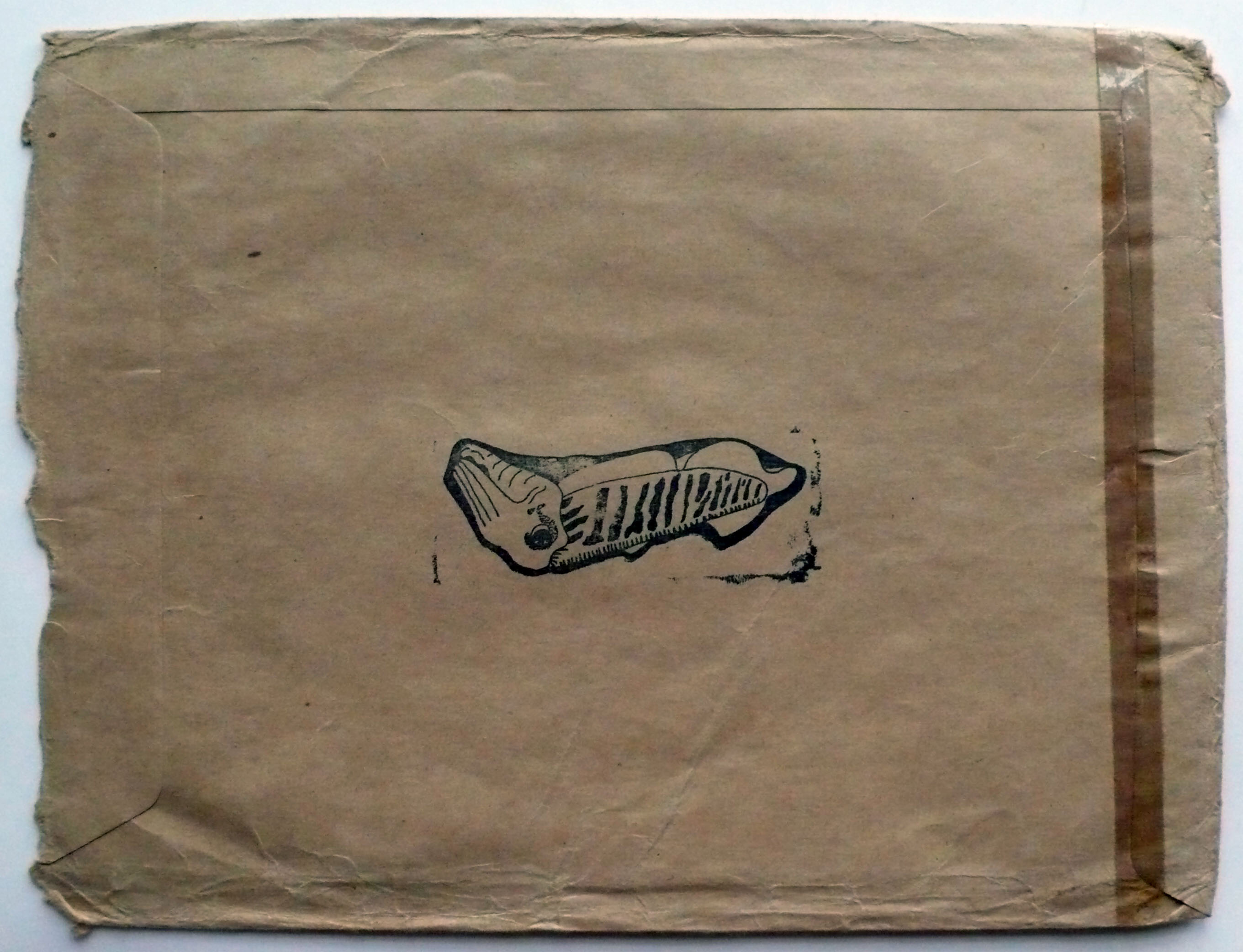 M 1977 02 00 cuttlefish 002