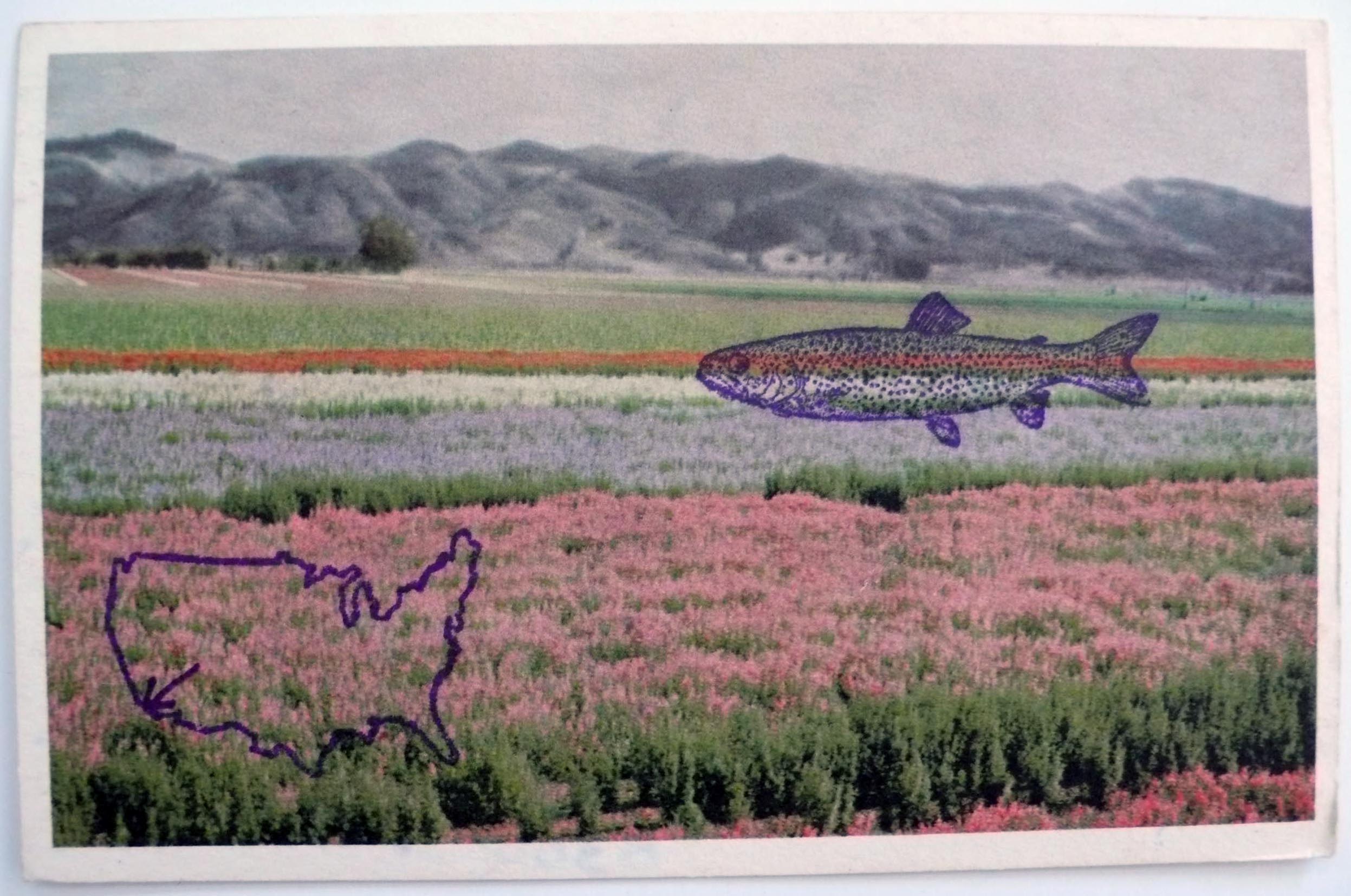 M 1979 12 09 fish 002