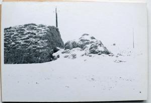 S 1970 06 12 lomholt 48 postcards 002